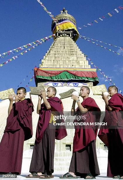 204 Monk Conch Shell Stock Photos, High-Res Pictures, and Images ...