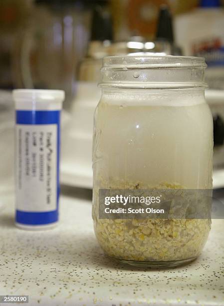 Jar containing crushed soybeans and water, part of the testing process for GMO crops, sits on the counter at the Delong Co. Grain elevator October 9,...