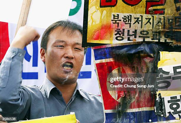 South Korean protester shouts anti North Korean slogans and brandishes burnt flags during an anti-North Korea demonstration on October 13, 2003 in...