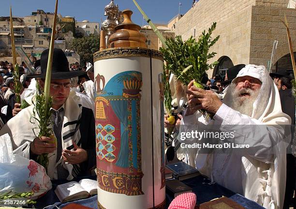 Ultra-orthodox Jewish man prays as he stands next to a Torah as he holds a citron, bunches of myrtle branches, leaves of olive and palm tree during...