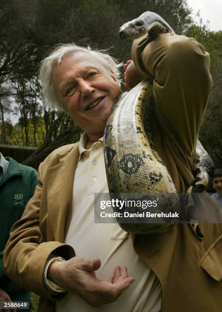 Python greets Sir David Attenborough during a photo opportunity at Taronga Park Zoo October 13, 2003 in Sydney, Australia. Attenborough, a leading...