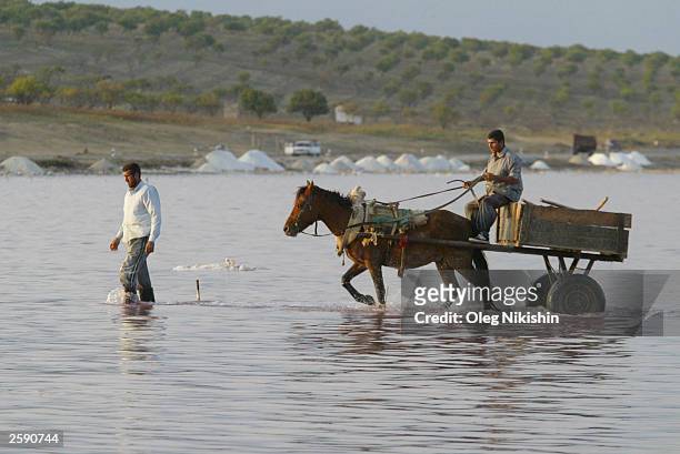 Workers collect food salt on a lake October 14, 2003 near Baku, Azerbaijan. At the end of the summer, water evaporates and a layer of salt is left on...