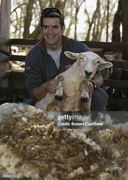 Churchill Island Victoria Photos and Premium High Res Pictures - Getty ...