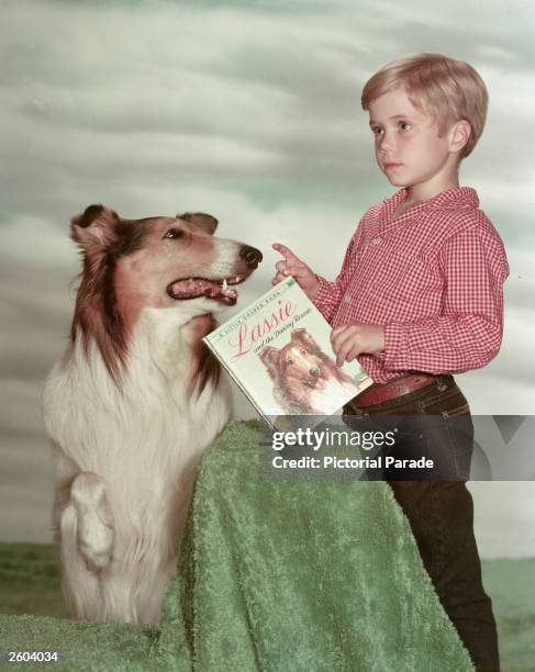 American child actor Jon Provost, holding a copy of the book, 'Lassie and the Daring Rescue,' poses with Lassie in a promotional portrait for the...