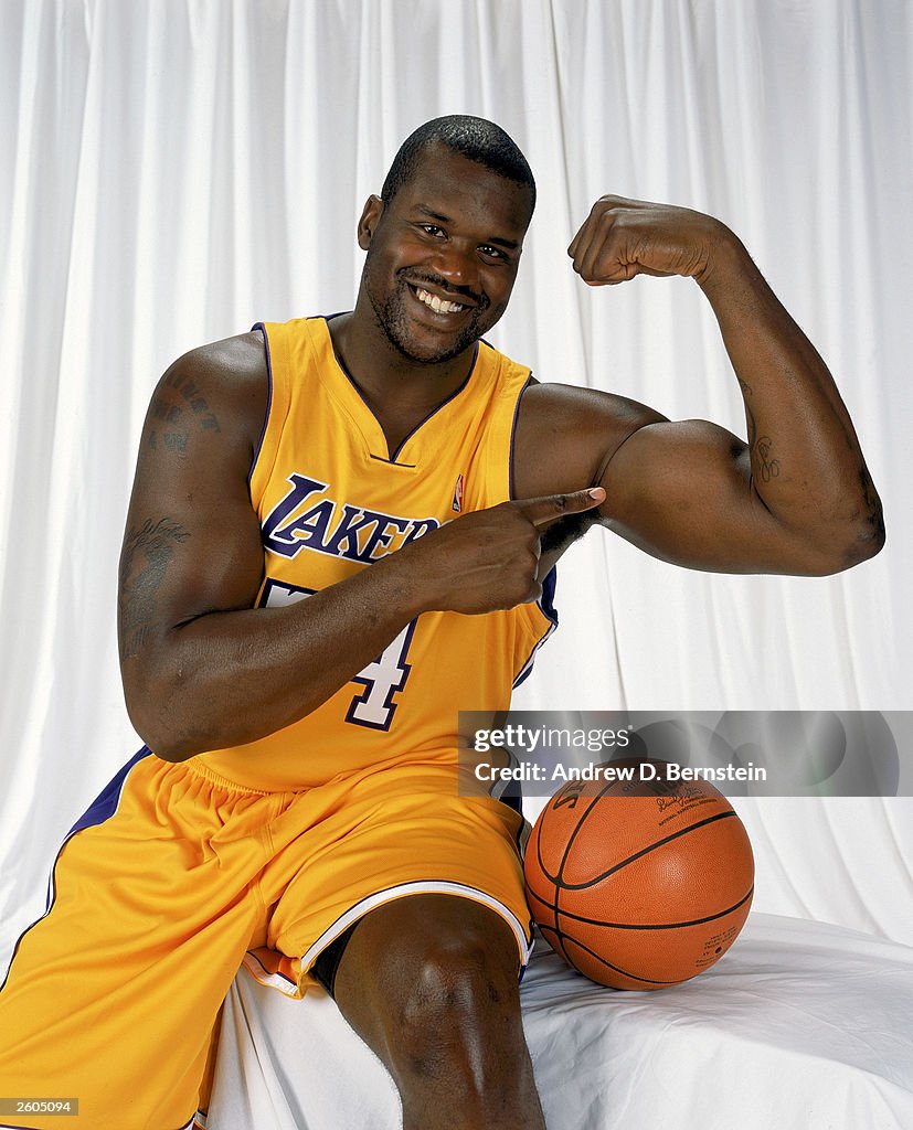 Shaquille O'Neal portrait