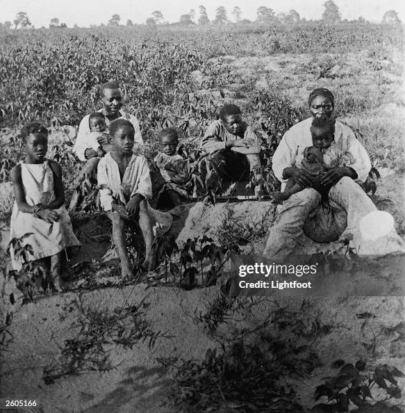 Cotton Pickers