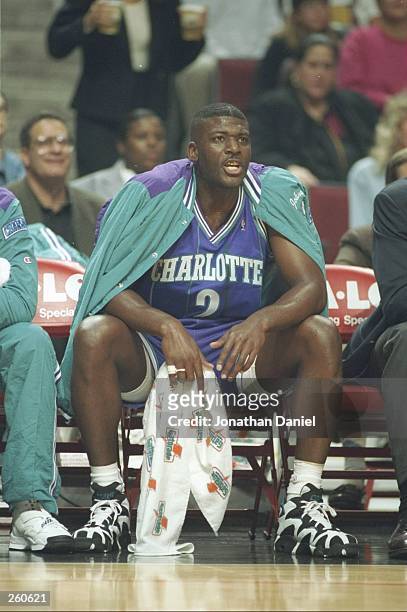 Forward Larry Johnson of the Charlotte Hornets looks on during a game against the Chicago Bulls at the United Center in Chicago, Illinois. The Bulls...