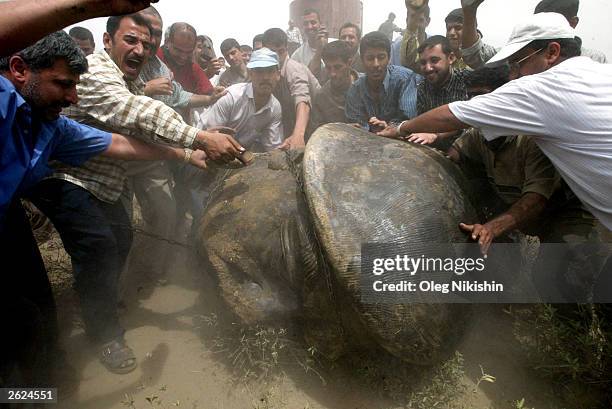 Iraqi men push a head of a statue of Saddam Hussein after its destruction April 18, 2003 in Baghdad, Iraq.