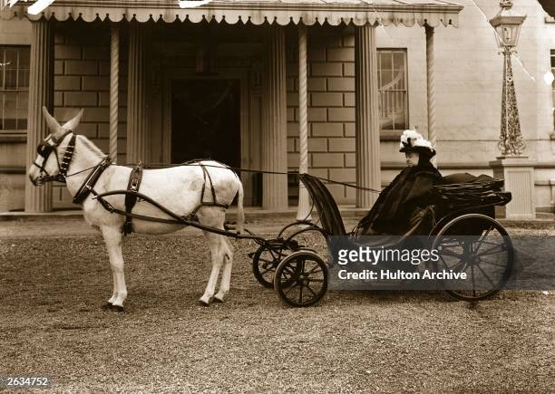 Queen Victoria driving a donkey cart during her visit to Monte Carlo.