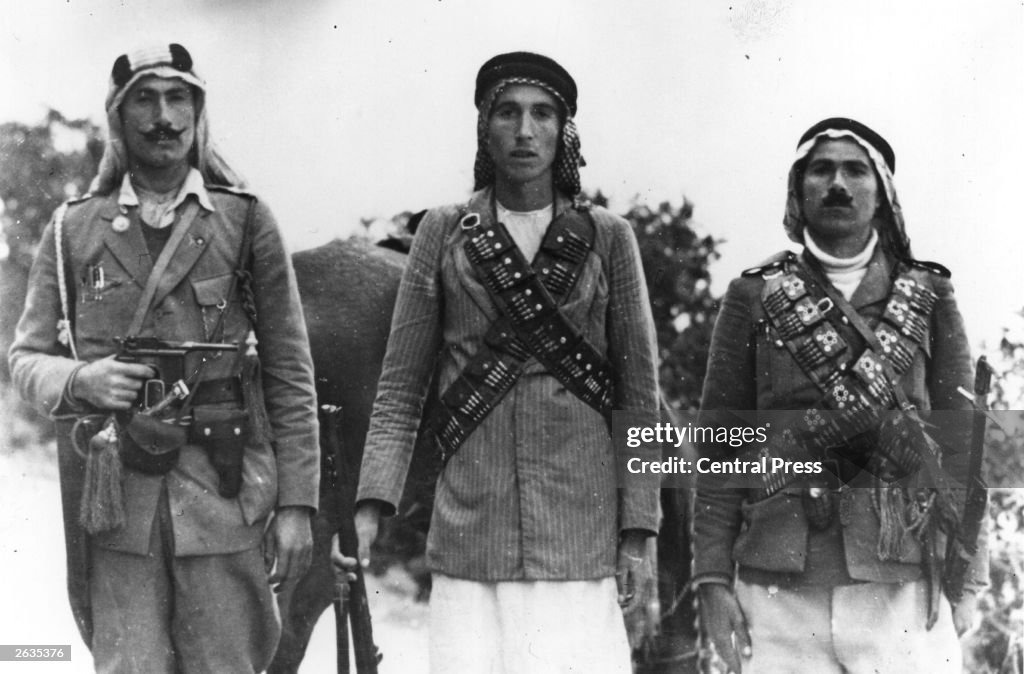 Arab Guerrillas