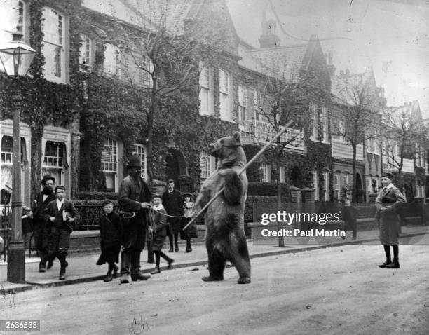 Dancing bear in a London street.