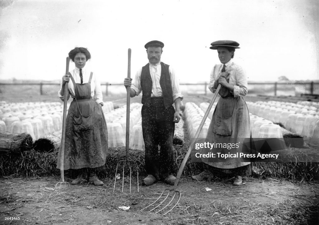 Cloche Farming