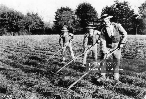 Farmers Raking Raking Family Photos and Premium High Res Pictures - Getty Images