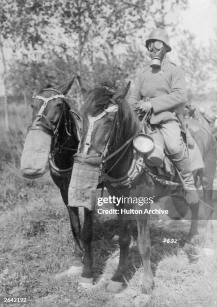 German resupply team. Horses and rider are equipped with gas masks.