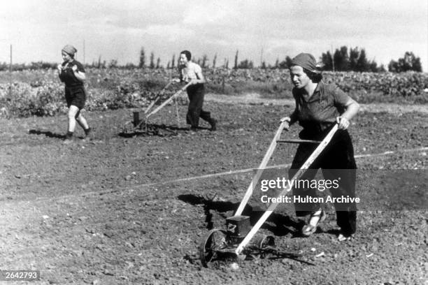 Women hand-plouging fields on a kibbutz in Israel.