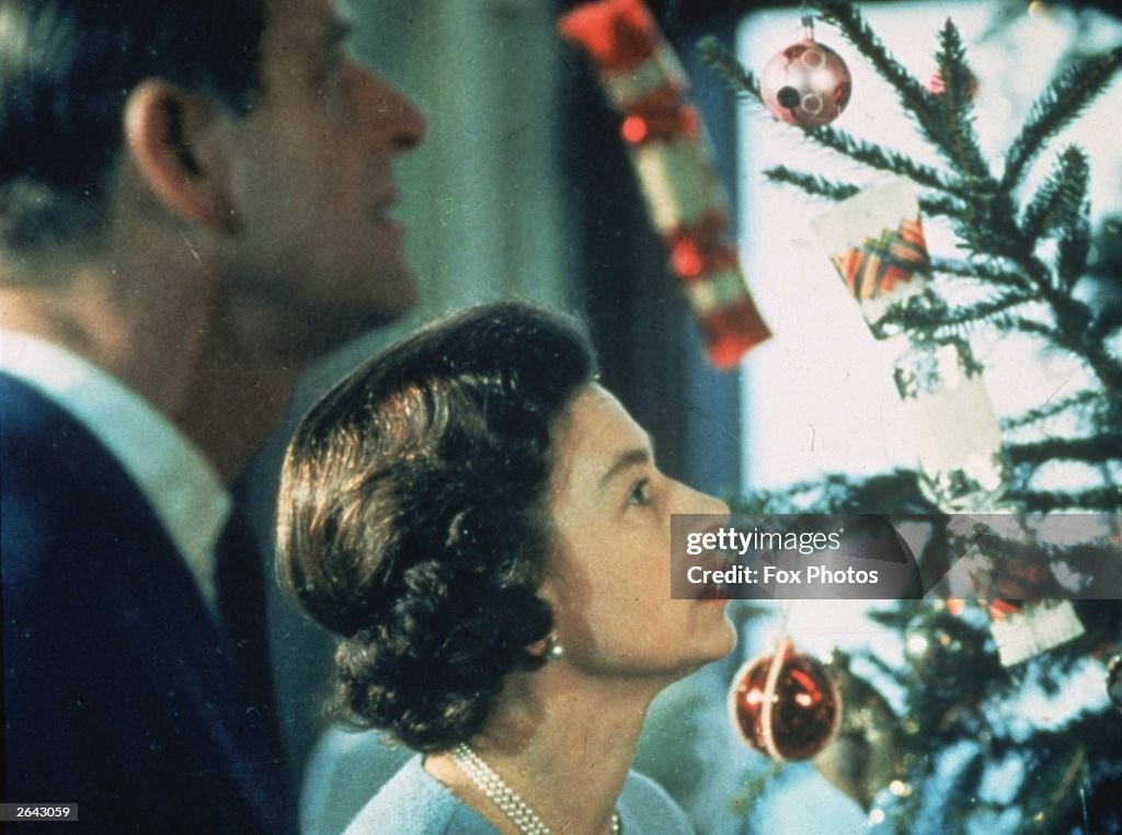Royal Tree