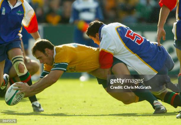 Nathan Grey Rugby 419 Nathan Grey Rugby Player Stock Photos, High-Res Pictures, and ...