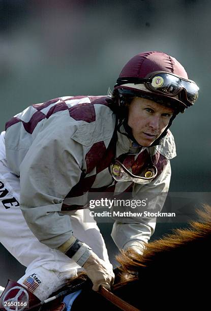 Julie Krone rides Funny Cide in the $4 Million Breeders' Cup Classic, Powered by Dodge part of the 2003 Breeders' Cup World Thoroughbred...