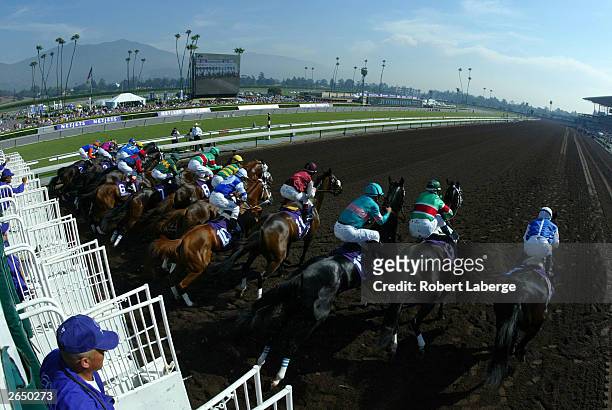 An overhead view of the start of the $1 Million Breeders' Cup Juvenile Fillies part of the 2003 Breeders' Cup World Thoroughbred Championships hosted...
