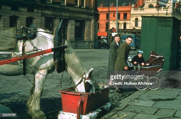 Family is amused by a horse drinking from a trough in Dublin.