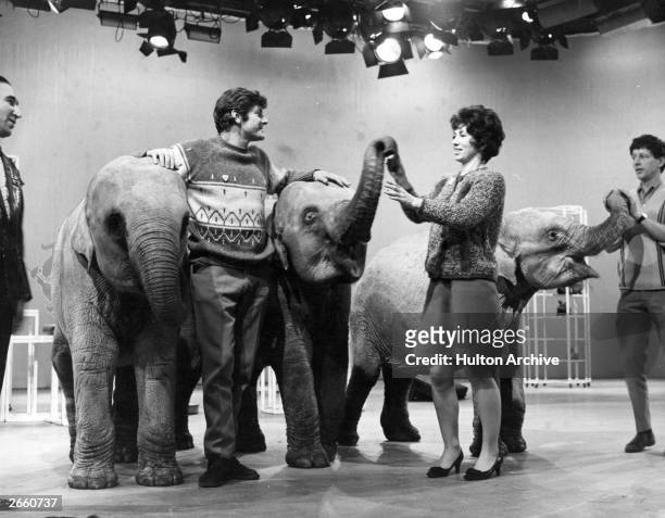 The Blue Peter team Peter Purves, Valerie Singleton and John Noakes with Indian elephants 'Dum Dum', 'Sarah' and 'Emma'.