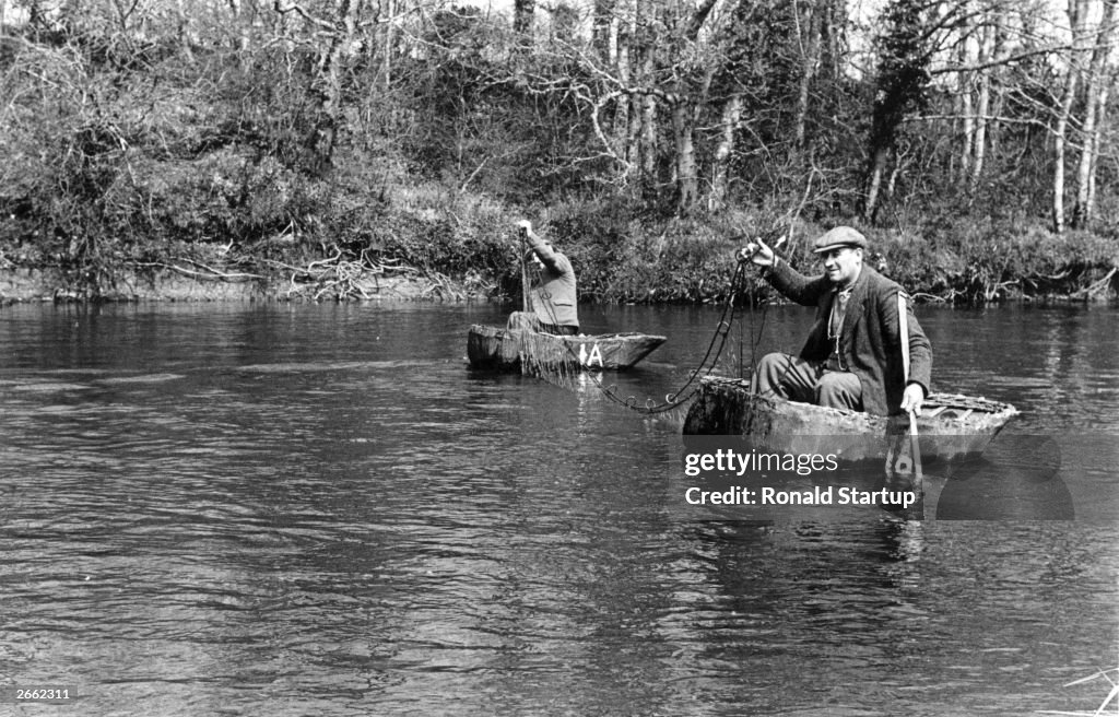 Coracle King