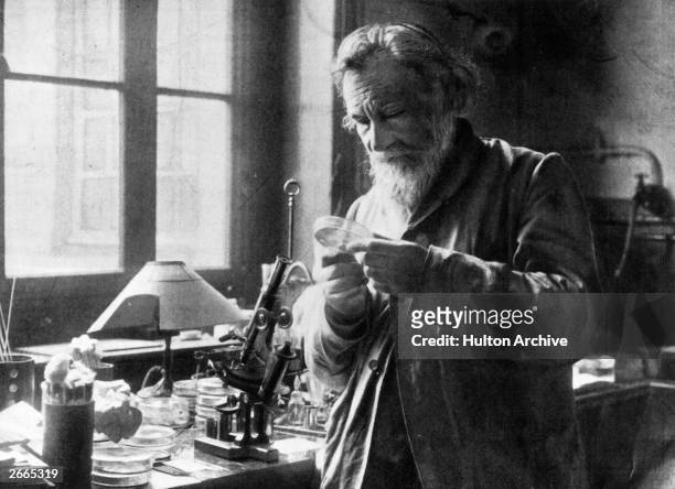 Russian biologist Ilya Ilich Mechnikov ,founder of immunology, examining the contents of a petri dish.