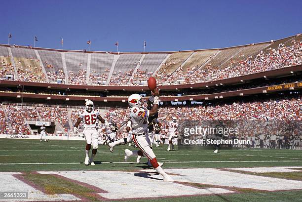 Wide receiver Roy Green of the Phoenix Cardinals catches a pass in the endzone during a NFL game against the San Diego Chargers on October 1, 1989 at...