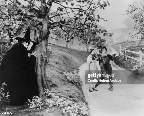 Margaret Hamilton, as The Wicked Witch of the West, hides behind a tree from Dorothy, played by Judy Garland , and the scarecrow as they make their...