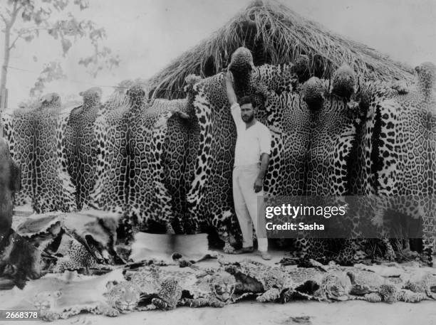 Hunter Sacha Siemel, whose adventures hunting jaguars in the Bolivian jungle are related in Julian Duguid's best-selling book 'Green Hell', amidst...
