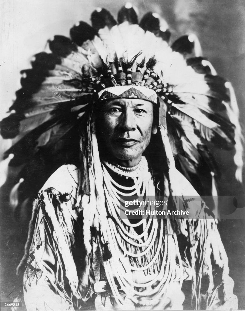 Chief Duck