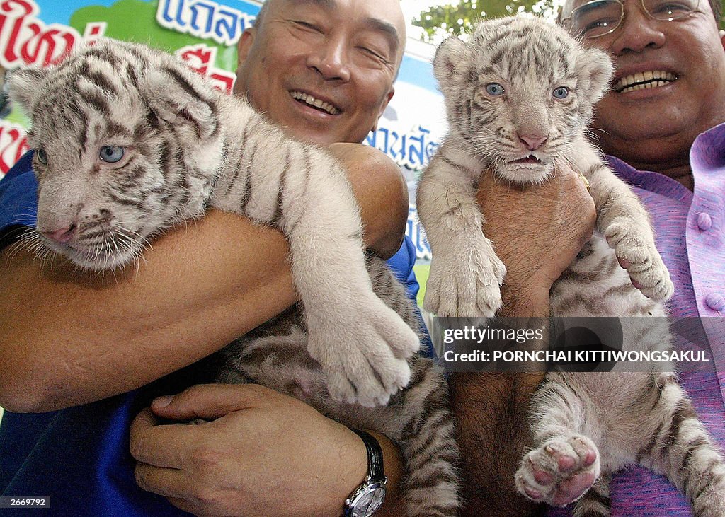 Dusit Zoo members of the board carry a c