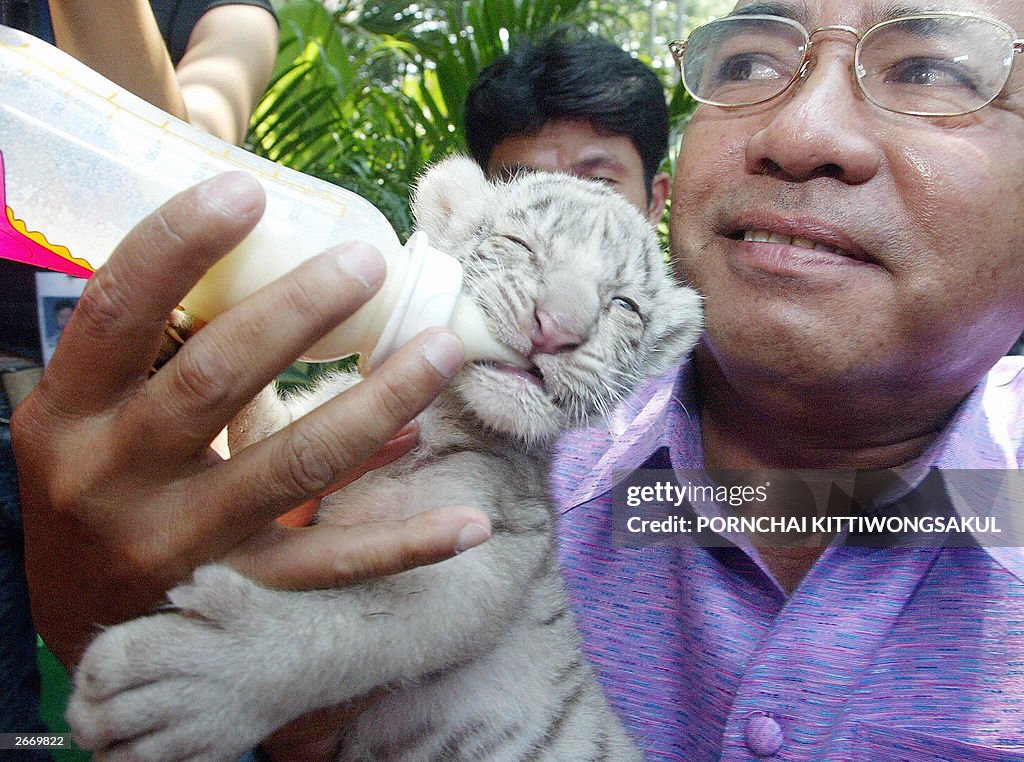 Dusit Zoo members of the board feed milk