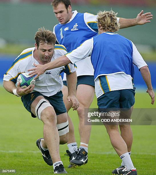 Nathan Grey Rugby 419 Nathan Grey Rugby Player Stock Photos, High-Res Pictures, and ...