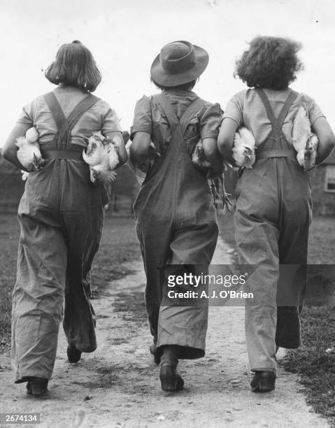 Firmly clutching some chickens under their arms three land army girls turn their backs on the camera, at the Northamptonshire Institute of...