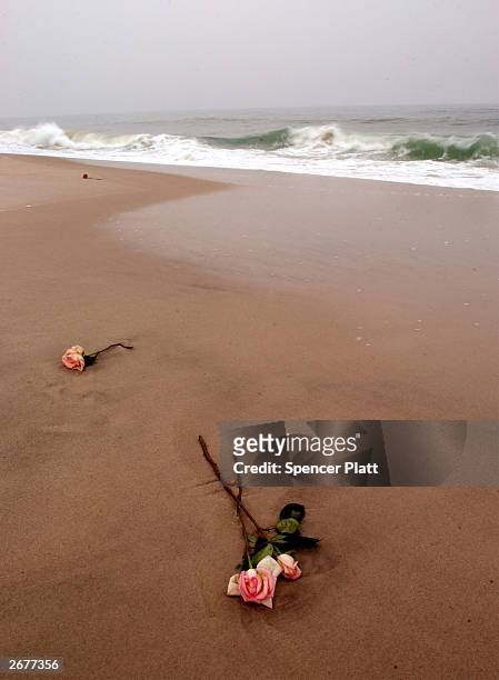 Roses lie on the beach near the location of the crash of TWA flight 800, on the fifth anniversary of the crash, Smith Point Park in Smith Point, New...