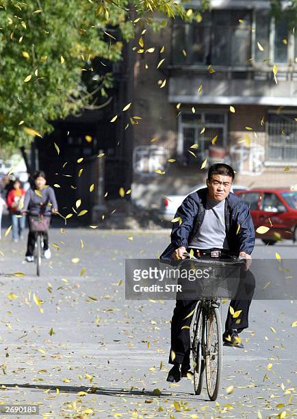 Cyclists make their way along a street in Beijing 02 November 2003, as the leaves begin to fall marking the end of autumn. A major winter resurgence...