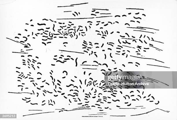 The Cholera bacilli, as exhibited by the German scientist and founder of modern medical bacteriology Robert Koch, at the Berlin Conference in 1884.