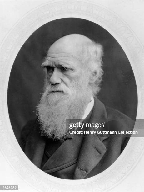 British naturalist Charles Darwin . Original Artwork: Woodbury type by Lock & Whitfield.