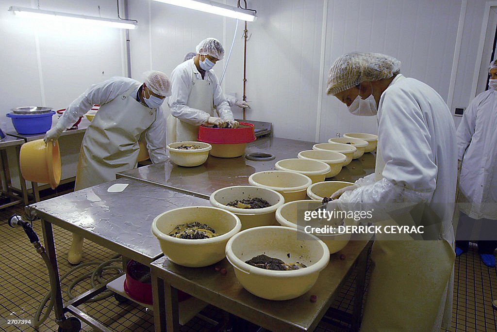 Employees of the Sturgeon company, the f