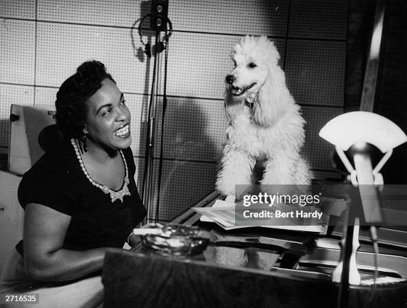 Pianist And Poodle Pianist And Poodle