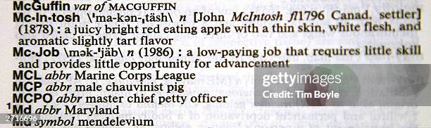 The word "McJob" is seen in a Merriam-Webster's Collegiate Dictionary in a bookstore November 10, 2003 in Niles, Illinois. McDonald's said it is not...