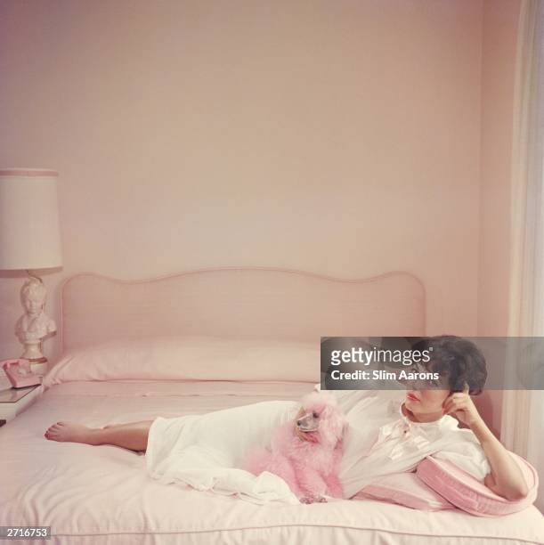 Premium Rates Apply. Film star Joan Collins relaxes with her pink poodle on her pink bed.