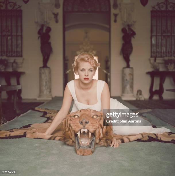 Premium Rates Apply. Lady Daphne Cameron on a tiger skin rug in the trophy room at socialite Laddie Sanford's home in Palm Beach, Florida.