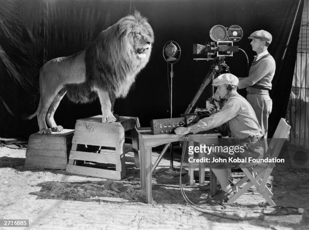 Cameraman and a sound technician record the roar of Leo the Lion for MGM's famous movie logo. The footage was first used on MGM's first talking...
