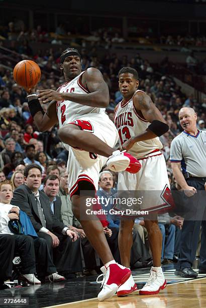 Eddy Curry of the Chicago Bulls saves the ball against the Minnesota Timberwolves during NBA action on November 13, 2003 at the United Center in...