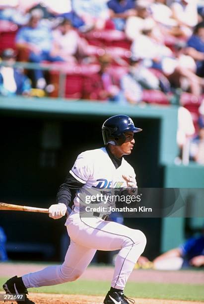 Al Reyes Devil Rays 81 Devil Rays Mendoza Stock Photos, High-Res Pictures, and Images ...
