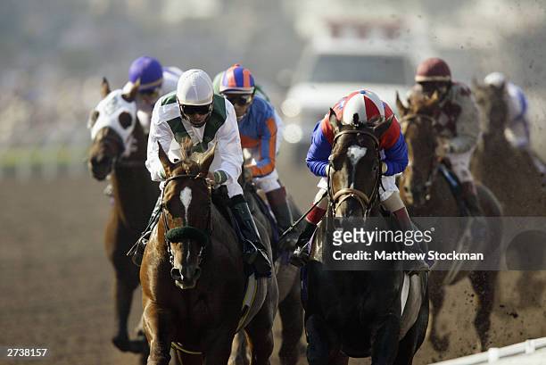 Congaree and Medaglia d'Oro compete in the $4 Million Breeders' Cup Classic, Powered by Dodge part of the 2003 Breeders' Cup World Thoroughbred...