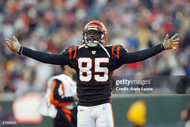 Wide receiver Chad Johnson of the Cincinnati Bengals celebrates during the game against the Houston Texans at Paul Brown Stadium on November 9, 2003...