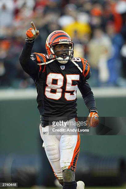 Wide receiver Chad Johnson of the Cincinnati Bengals celebrates during the game against the Houston Texans at Paul Brown Stadium on November 9, 2003...